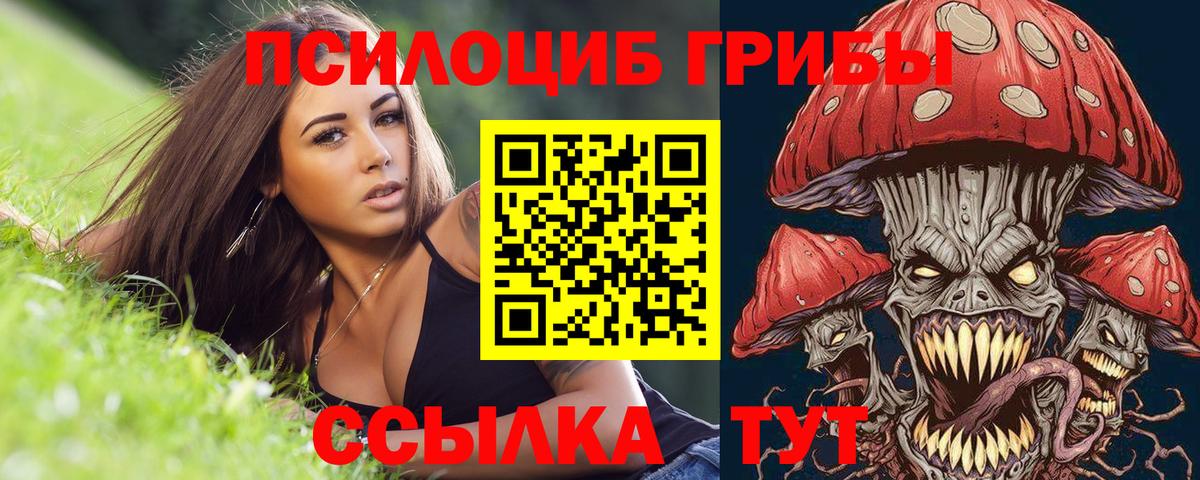 Псилоцибиновые грибы Cubensis  Псилоцибиновые грибы Cubensis  Вход с VPN  Нальчик 
