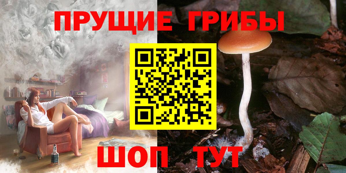 Псилоцибиновые грибы MAGIC MUSHROOMS Нальчик